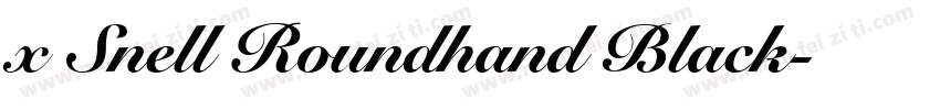 x Snell Roundhand Black字体转换
